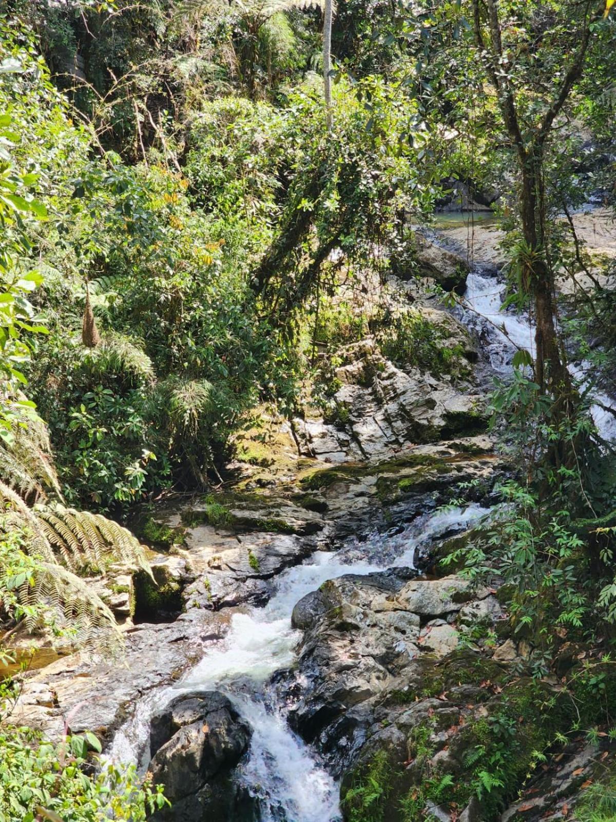 La Serena Reserva Natural Concepcion Buitenkant foto